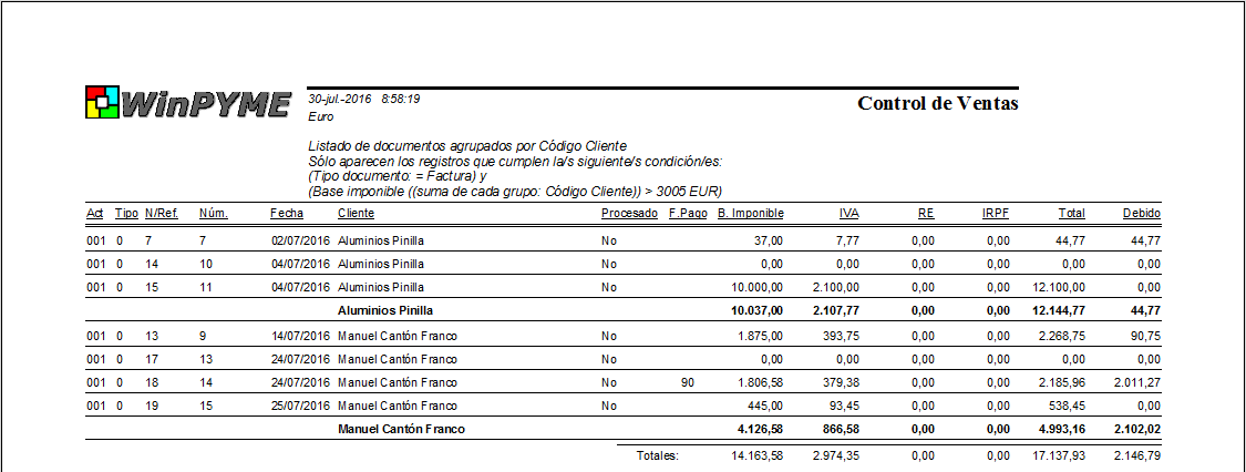 Vista previa del informe de ventas